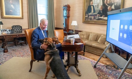 Have I got this right? Does Kristi Noem really want Joe Biden to start killing dogs too? | Zoe Williams