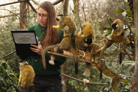 Kate Sanders works with monkeys