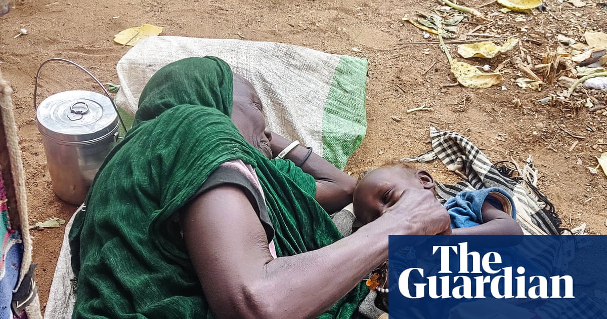 ‘A donkey cart out of El Fasher costs more than a new car’: how 500 days under siege is tearing the city apart