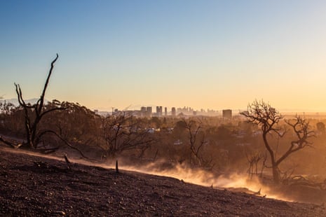Skyline of Los Angeles with burned trees in foreground