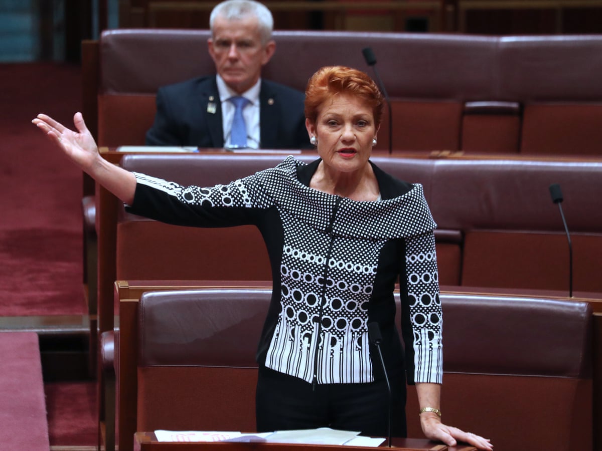 Senators unite to block Pauline Hanson's 'all lives matter ...