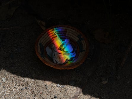 A straw basket of white roses and magic mushrooms illuminated by a rainbow light