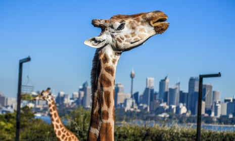 Jersey Zoo becomes the first zoo in the UK and Europe to be