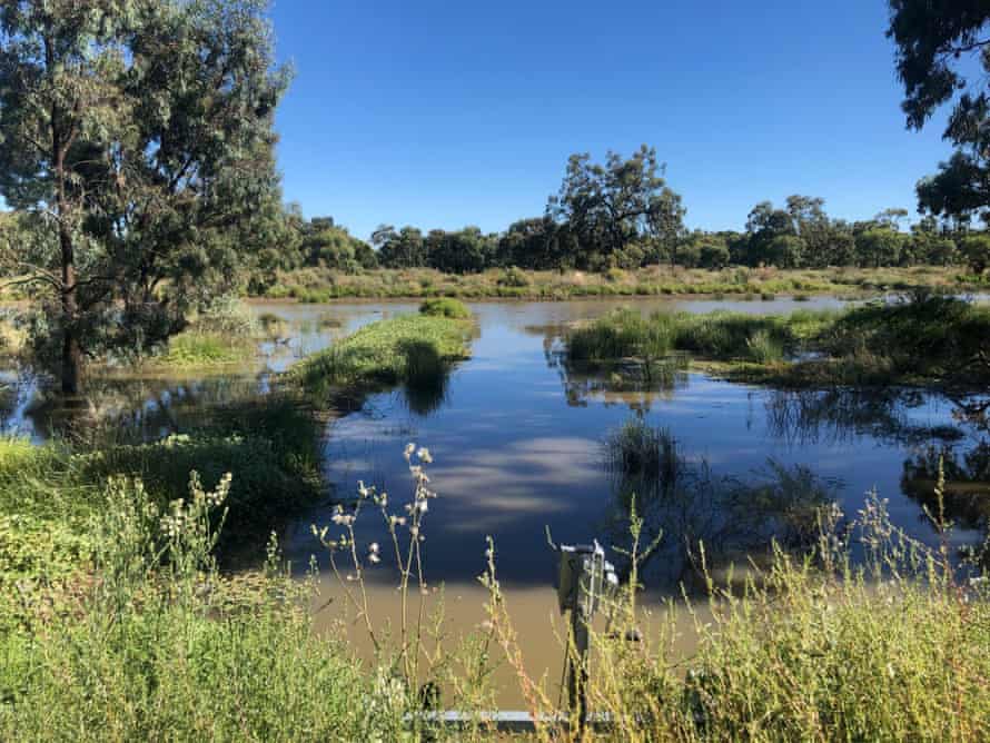 Middle wetland in the Murray Darling