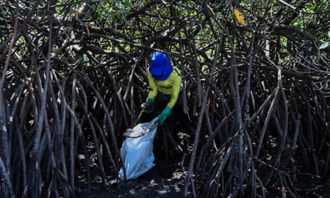 Brazilian fisherwoman Valeria Maria de Alcantara removes spilled crude oil from mangroves, in Cabo de Santo Agostinho, Pernambuco state