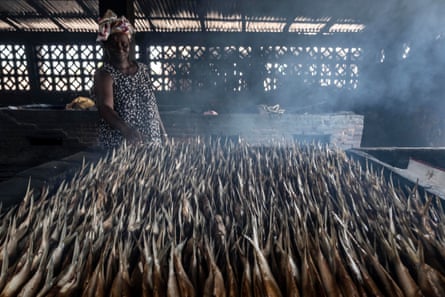 Mba Oumie Jobe smokes fish in Gunjur village