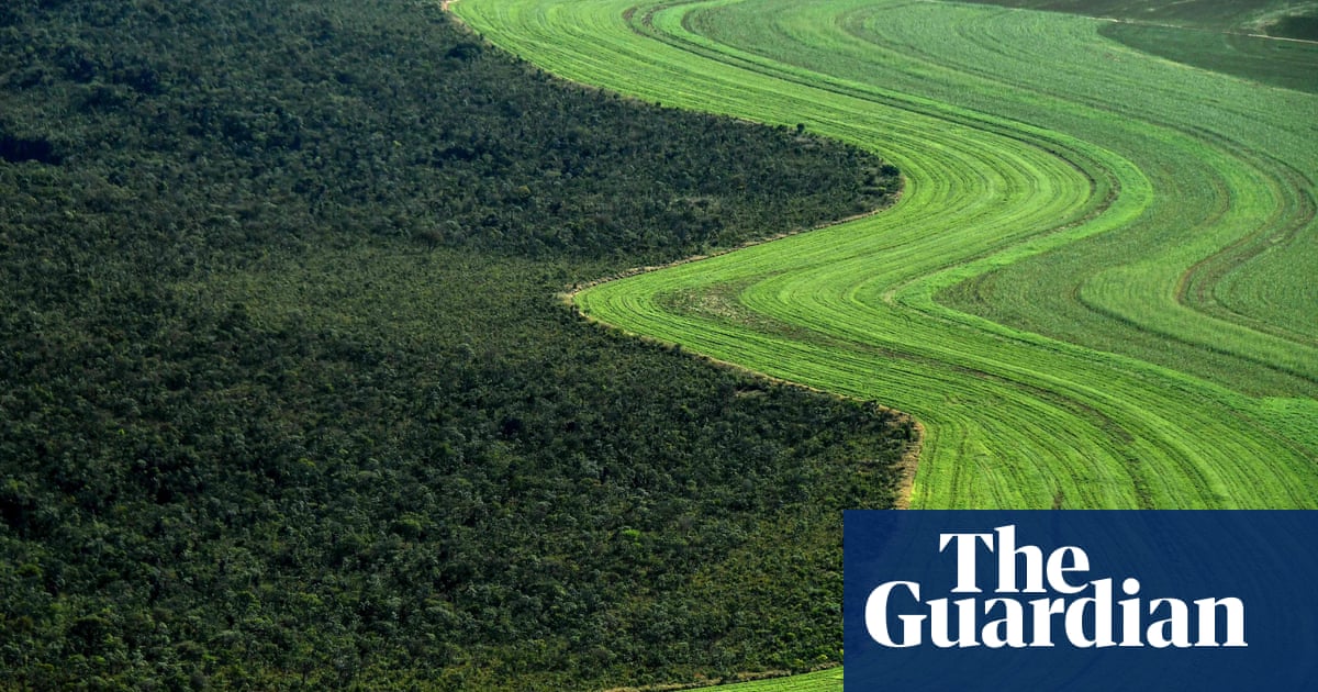 Hundreds of new pesticides approved in Brazil under Bolsonaro