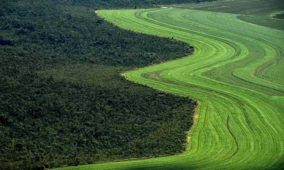 A farmed field alongside native savanna in western Bahia state, Brazil