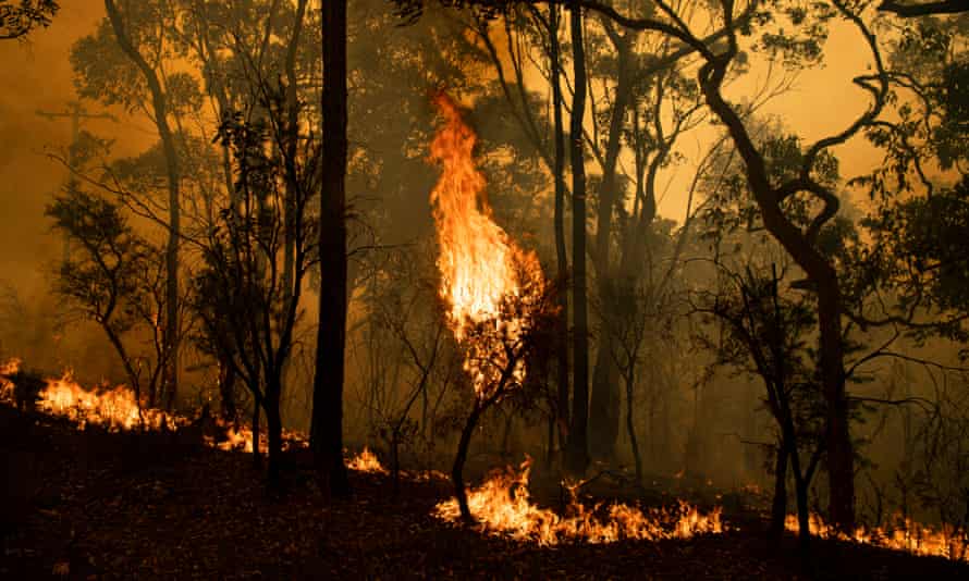 Fire front at Kulnara, near Mangrove mountain, NSW. 6 December 2019.