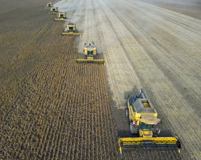 ‘Super’ El Niño could cause global food price shock lasting into 2028, analysts say