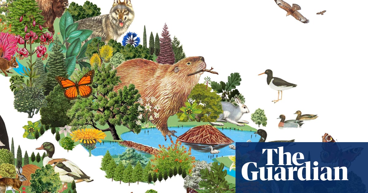 Welcome to wild Britain: the beavers are back and there’s more to come