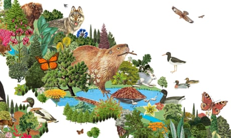 Illustration by Valero Doval