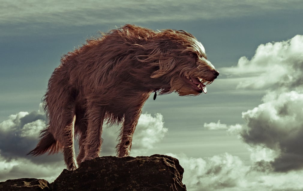 King of all he surveys. (mit Bildern)