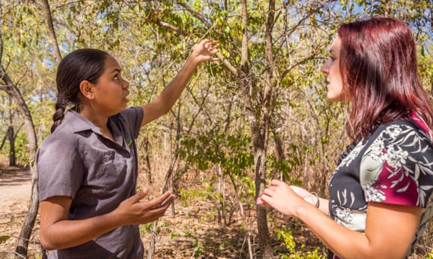 A Pudakul Aboriginal Cultural Tours guide showing a visitor bush tucker