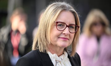 The Victorian premier, Jacinta Allan, has announced the introduction of a parliamentary secretary for 'men’s behaviour change'