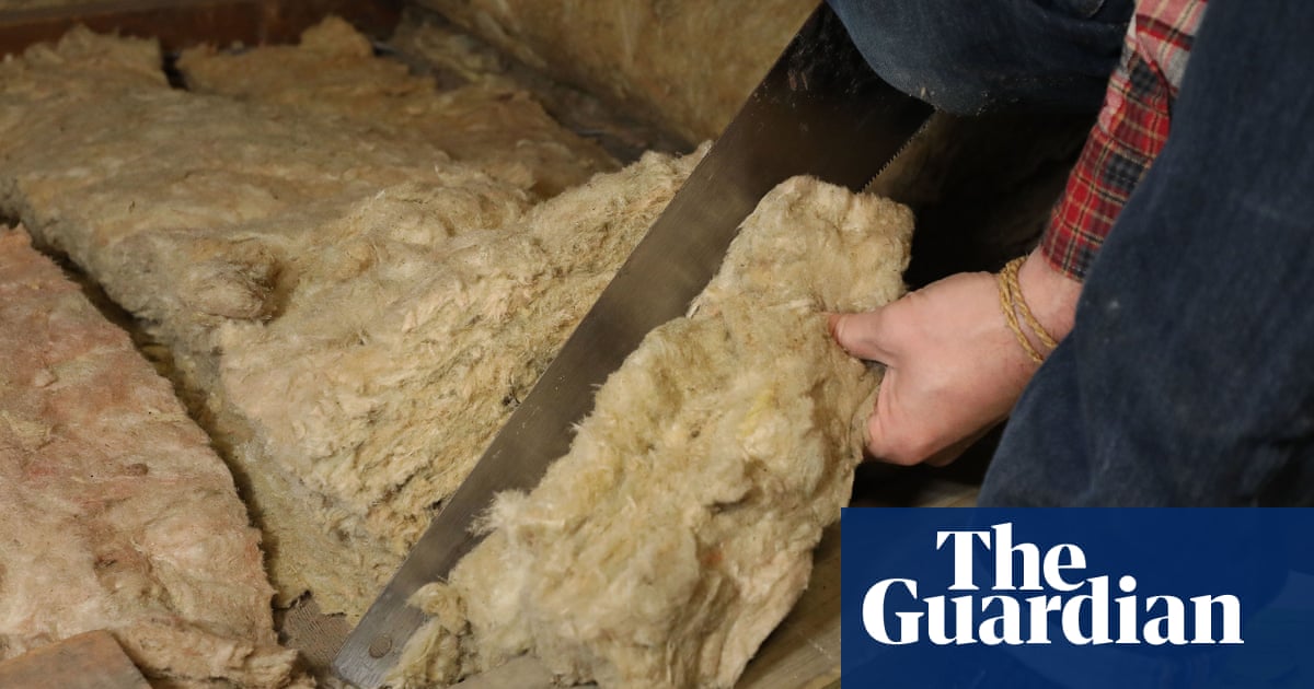 More than 30,000 jobs at risk if insulation levy cut from fuel bills