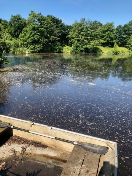 The fishing lake at Furnace Brook with scum from pollution on its surface.