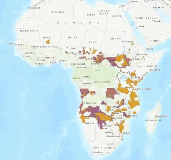 Mapa del grupo de elefantes de la sabana africana