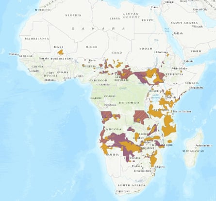 African Savanna Elephant range map