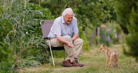 David Attenborough with a fox