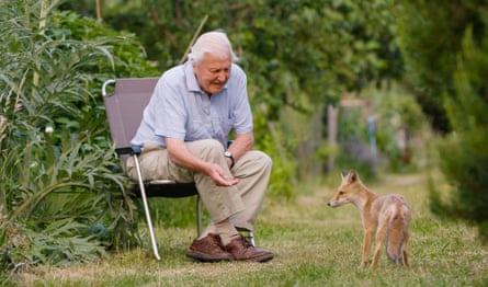 David Attenborough in Wild London.