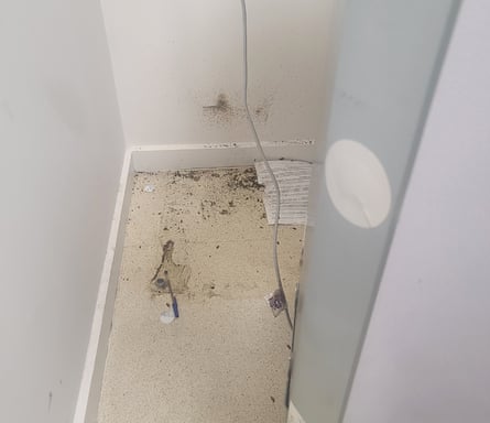 An image of a cockroach infestation taken by an unnamed resident of Unison’s Elizabeth Street building in Melbourne’s CBD, provided to their lawyers at Inner Melbourne Community Legal.