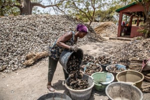 A woman tips her tub of oysters into a basket with a huge pile of oyster shells behind her 