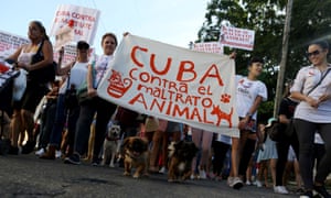 A march in defense of animal rights in Havana, Cuba Sunday. 3500.jpg?width=300&quality=85&auto=forma