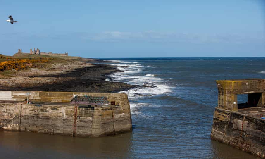 Craster harbour with Dunstanburgh Castle beyond.
