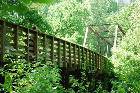 Key Bridge in the Sumter national forest