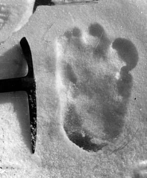 A footprint purporting to be that of the abominable snowman, taken near Mount Everest in 1951.