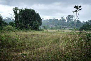 Land donated by the mother of a student, where Pilar Bilogo wants to build a boarding school
