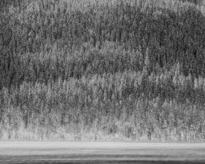 Snow Covered Trees and Lake Silvaplana, Engadine, 2021