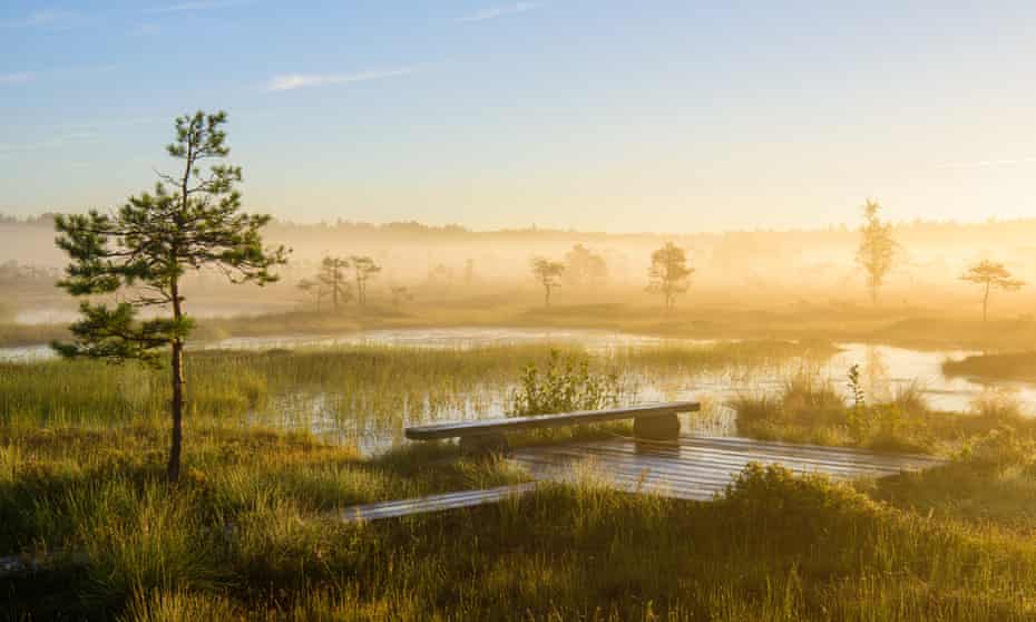 Soomaa national park, Estonia