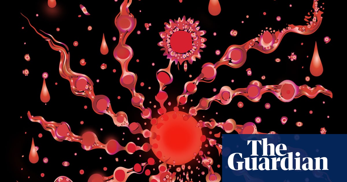 ‘A medical miracle’: is period blood ‘the most overlooked opportunity’ in women’s health?