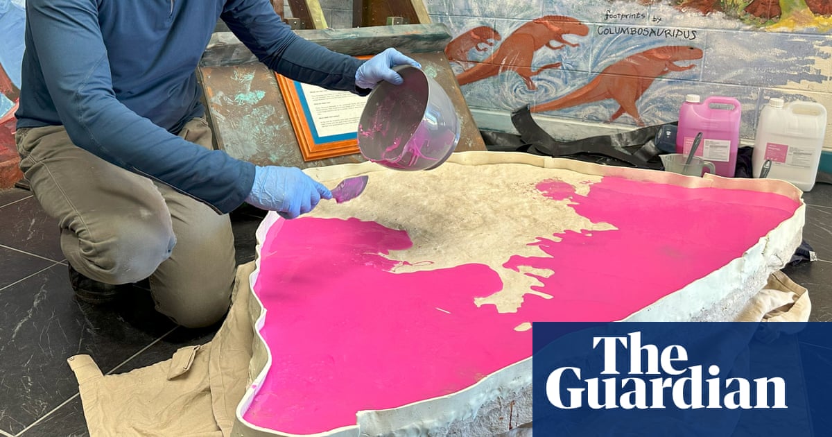 More than 60 dinosaur footprints found on boulder that sat at Queensland school for 20 years | Dinosaurs More than 60 dinosaur footprints found on boulder that sat at Queensland school for 20 years | Dinosaurs