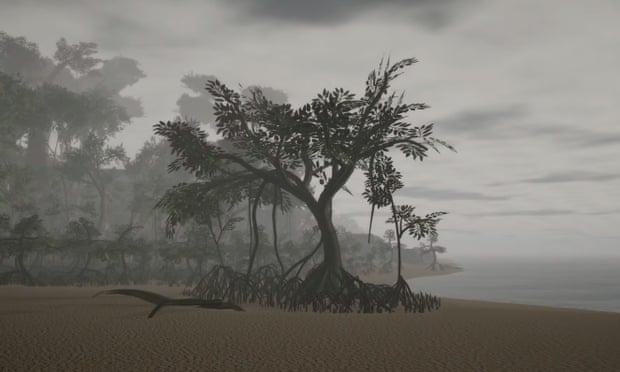 Mangroves in Gondwana.