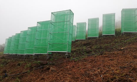 The fog collectors are sheets of plastic mesh erected in the path of the wind.