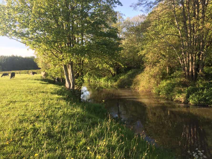 The River Frome glides and weaves through the woods and fields of north Somerset