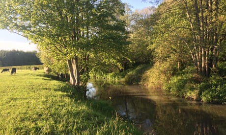 The River Frome glides and weaves through the woods and fields of north Somerset