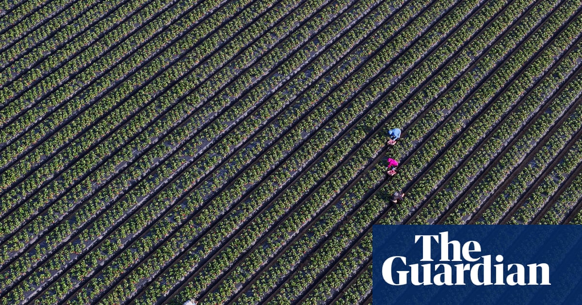Key data missing for half of US child labor deaths, official report finds