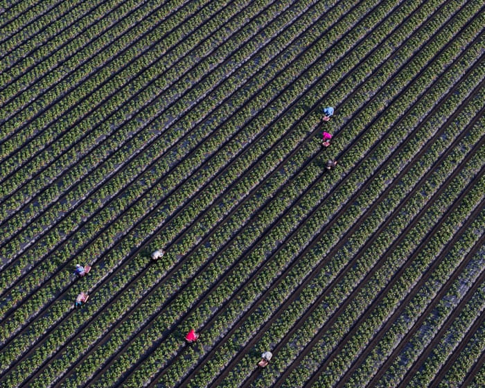 Key data missing for half of US child labor deaths, official report finds