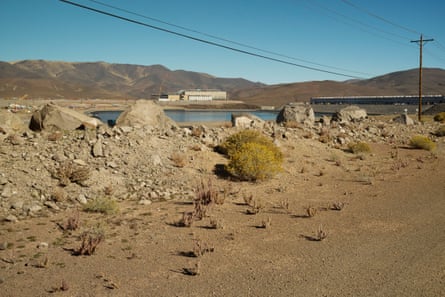 Desert vegetation with water from the Tahoe‑Reno Industrial Center’s reservoir in the background.