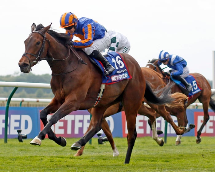 Horse racing: True Love gives Aidan O’Brien his eighth 1,000 Guineas winner – live
