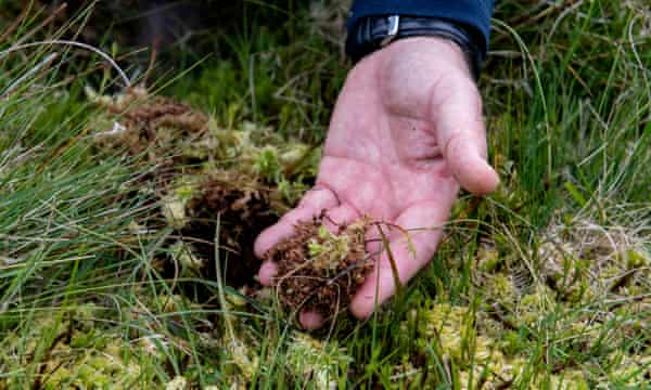 Alan Kearsley-Evans checks the peat on Abergwesyn common.