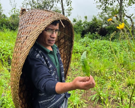 A man with a traditional bamboo rainshield hanging from his head holds a leaf. Plants can be seen behind him