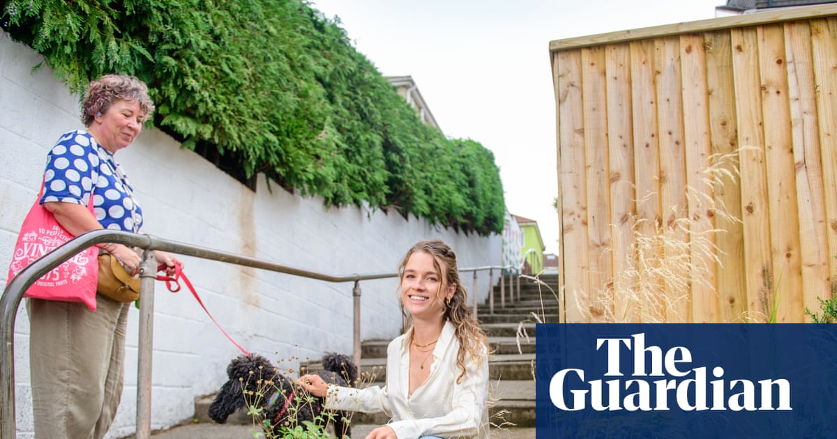Bee buffets': the pollinator pathways turning drab alleys into insect havens