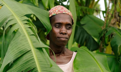 Mother and farmer Palmira Mussa, 38, standing by her banana tree which is being destroyed by locusts