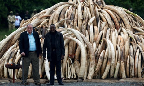 The chair of the Kenyan Wildlife Service, Richard Leakey, alongside the Kenyan president, Uhuru Kenyatta, with confiscated ivory and rhino horn