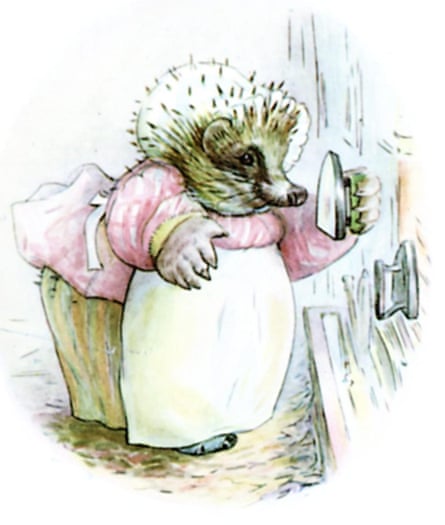 Mrs Tiggy-Winkle.